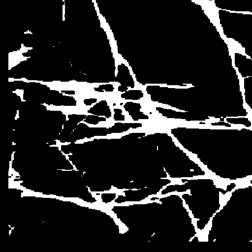 Damage mask layer identifying the paint loss region for Artecho AI processing